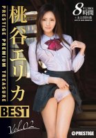 Erika Momotani 8 Hour BEST PRESTIGE PREMIUM TREASURE vol. 02