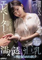 The Elevator Broke Down Due To A Sudden Rainstorm, And Now I Was Being Fucked By A Slut With Big Tits Transparently Beckoning Me Through Her Dripping Wet Shirt Amy Fukada Eimi Fukada,Kokoro Amami