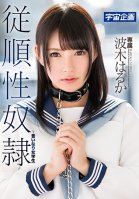 Submissive Sex Slave And Obedient College Girl Haruka Namiki Haruka Hakii,Haruka Ichinose